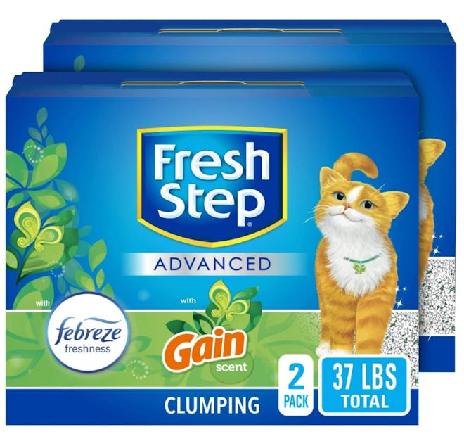 The Best Dust-Free Cat Litter With Febreze