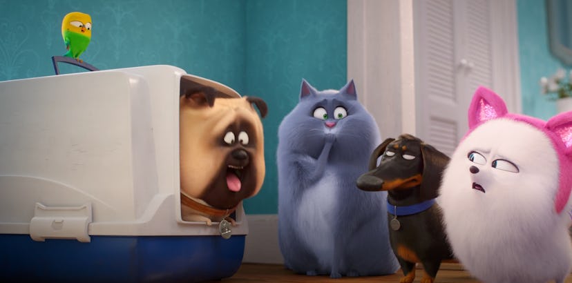 'The Secret Life of Pets 2' is streaming on Netflix.
