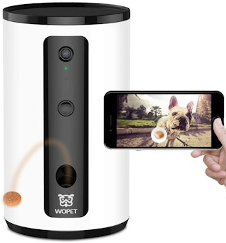 The Best Treat-Dispensing Pet Camera For Cats