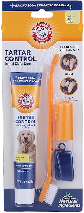 Arm & Hammer Dog Dental Care Fresh Breath Kit