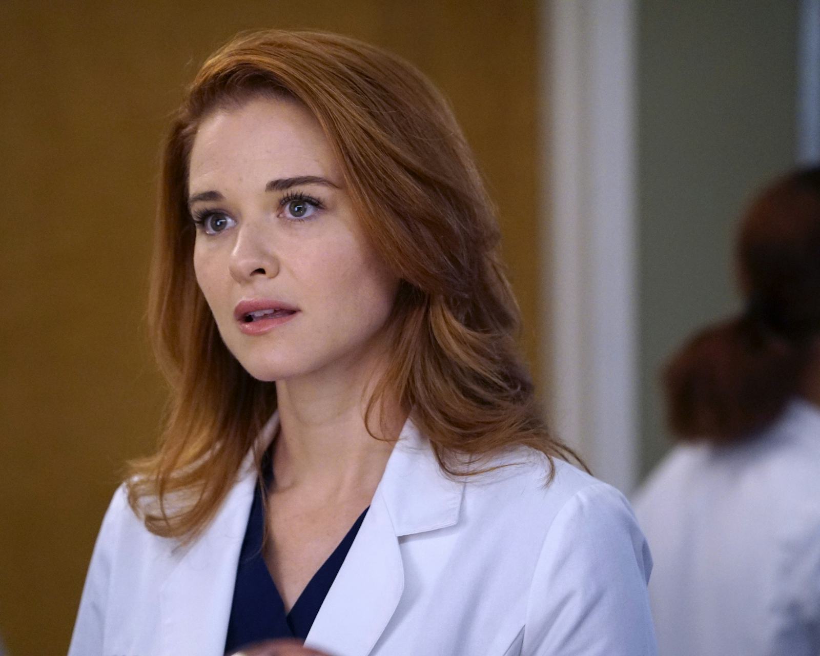 'Grey's Anatomy' To Bring Back Sarah Drew As Season 17 Guest Star