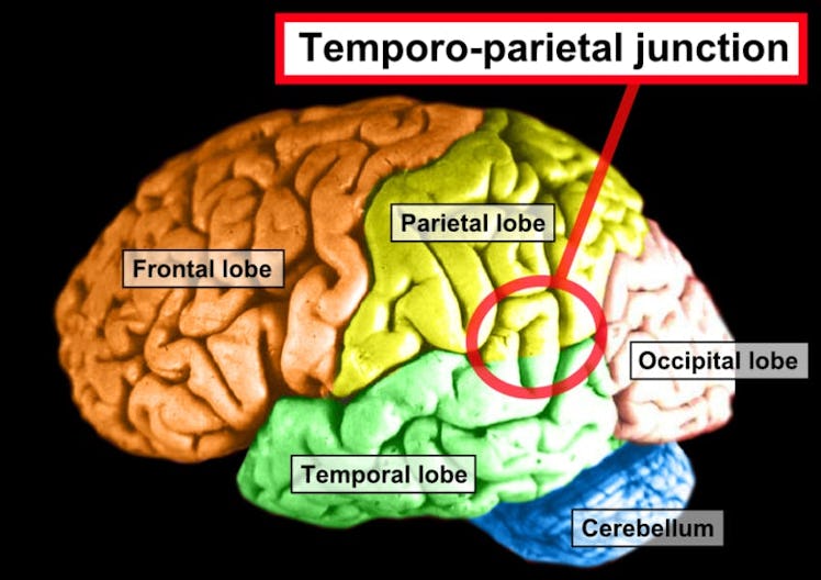 Temporo-parietal junction