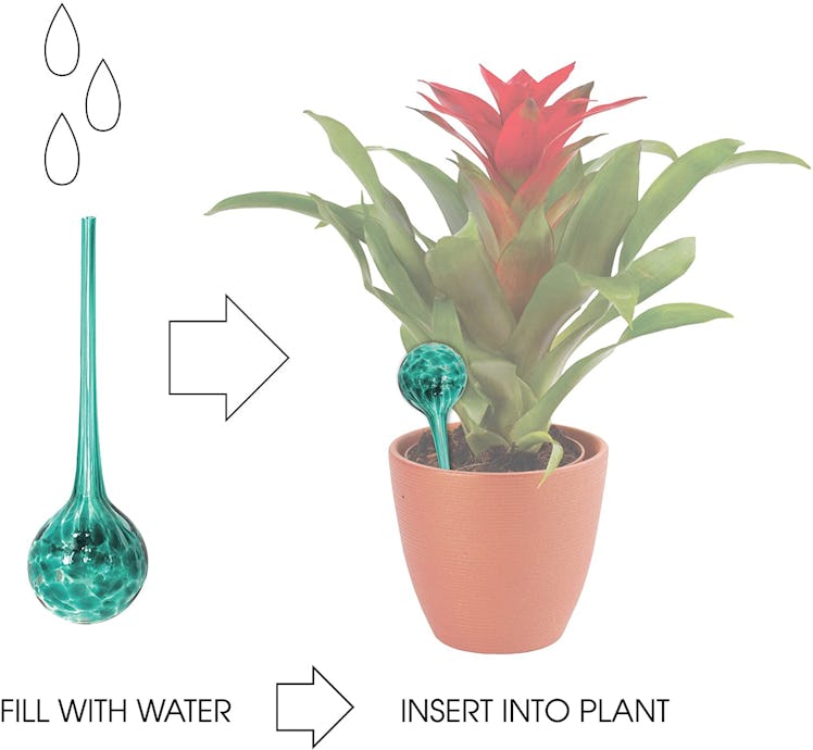  Wyndham House Watering Globes (3-Pack)