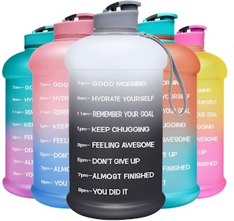 Venture Pal Motivational Water Bottle with Time Marker