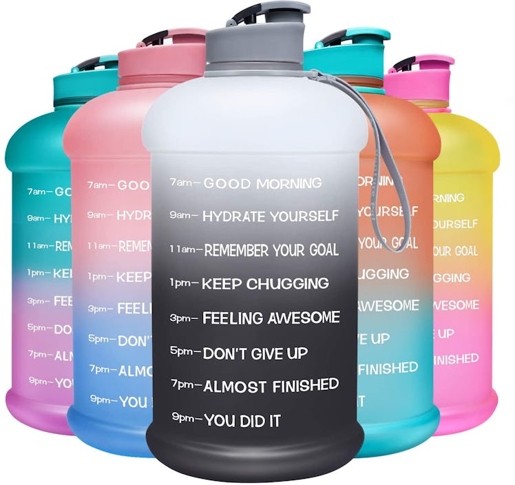 Venture Pal Motivational Water Bottle with Time Marker