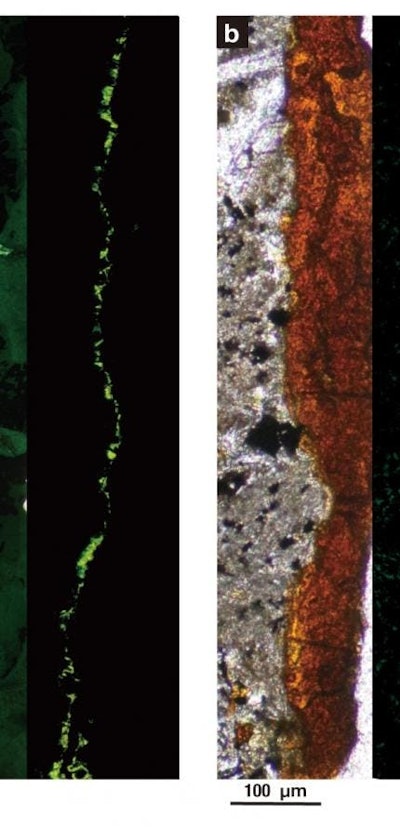 A colony of tiny microbial life that was found wedged in tunnels on volcanic rock samples.
