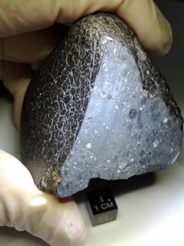 A hand holding a dark meteorite