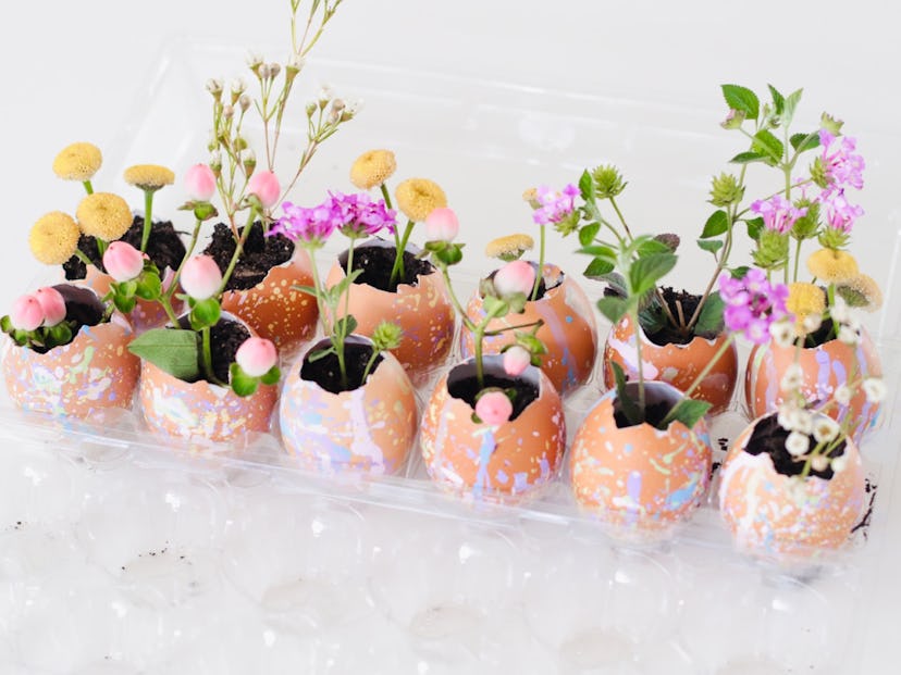 small speckled planters made from egg shells