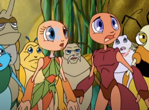Go on a Bugtime Adventure