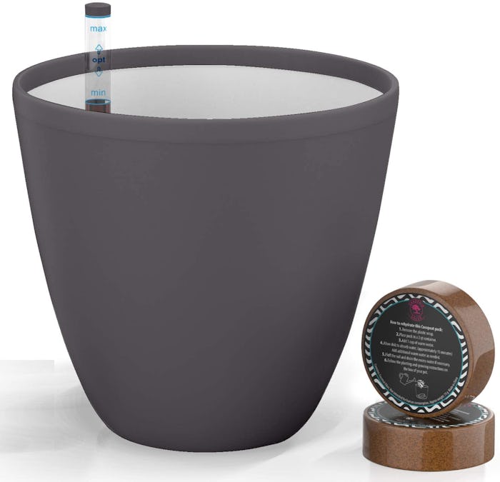 Gardenix Decor Self Watering Planter