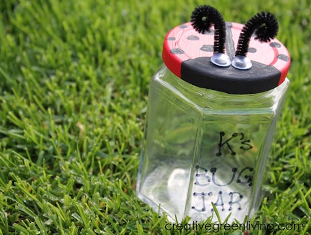 Capture lady bugs inside an old jar.