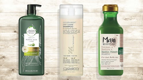 best aloe vera shampoos