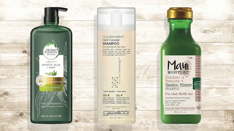 The 5 Best Aloe Vera Shampoos