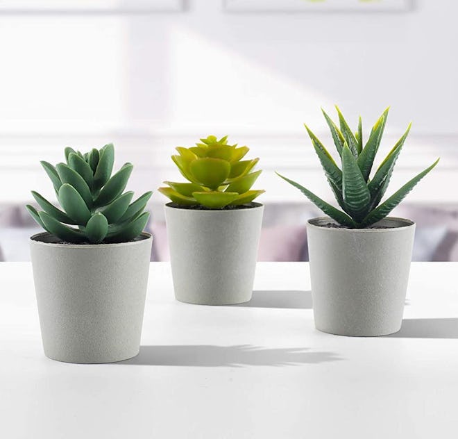 LuckyGreenery Artificial Succulents (Set Of 3)