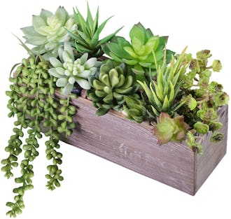 The 7 Best Fake Succulents