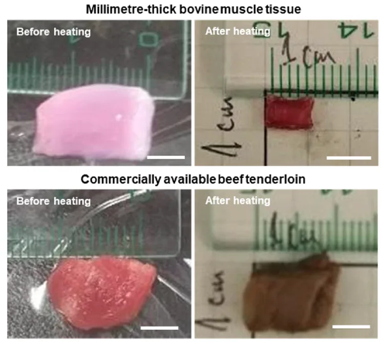 This futuristic lab-grown steak may solve 1 major problem with meat