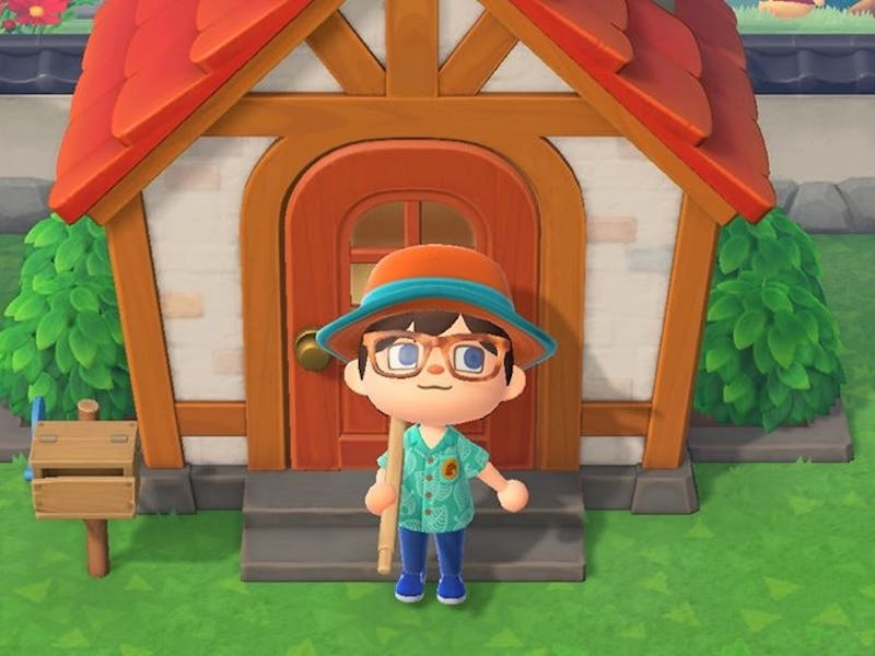 Corey Plante Animal Crossing New Horizons Fish Bugs