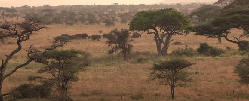 'Destination World' explores the Earth's seven continents through footage of the natural world.