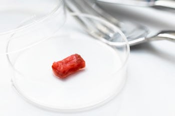 lab grown beef