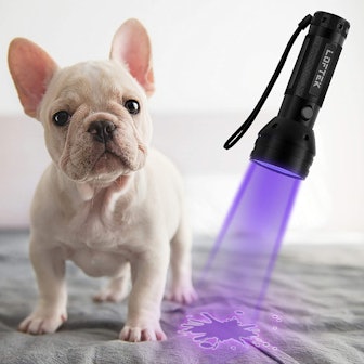 LOFTEK UV Flashlight Stain Detector
