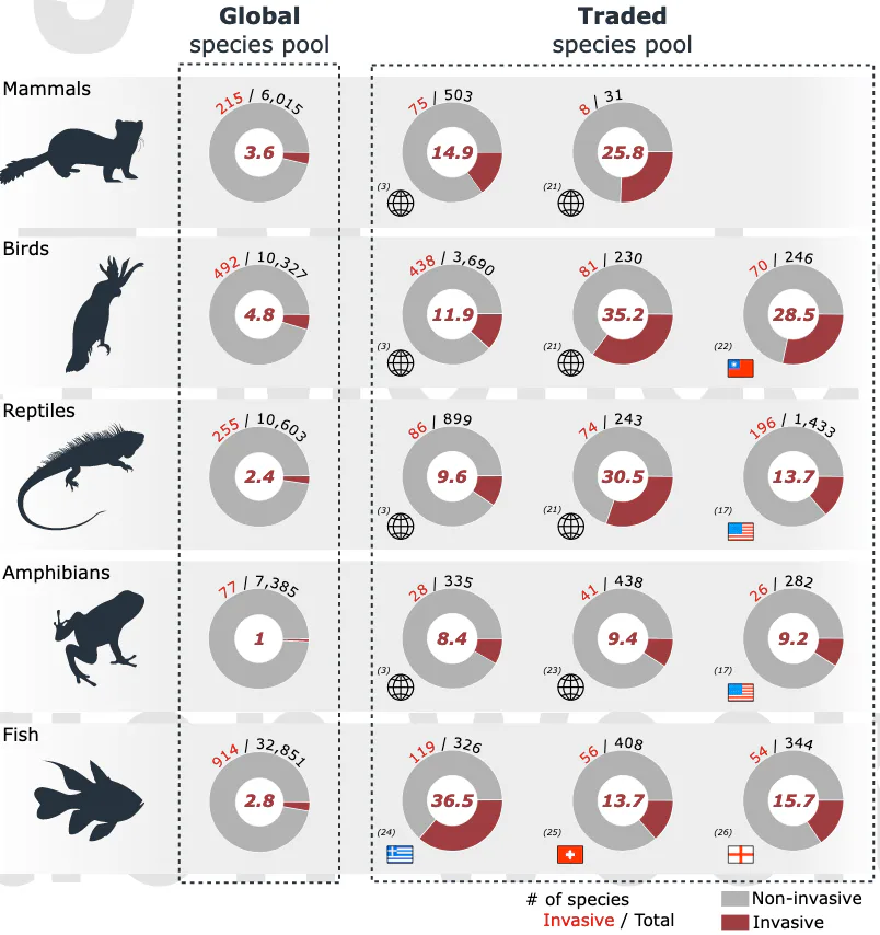 1 small animal reveals how the pet trade hurts ecosystems