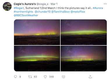 what are auroras made of
