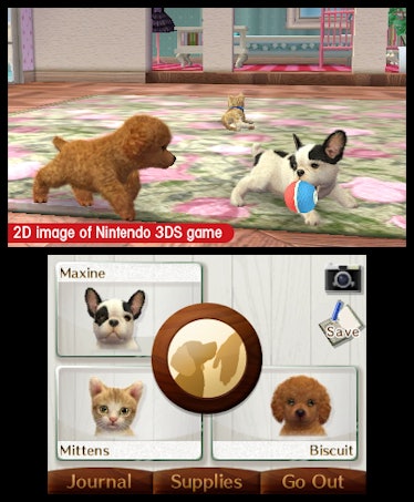 A screenshot from the game Nintendogs featuring two puppies and a kitten