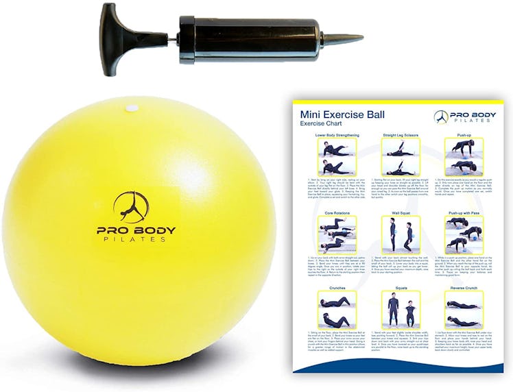 ProBody Pilates Mini Exercise Ball