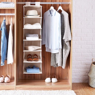 Amazon Basics 6-Tier Hanging Closet Shelf 
