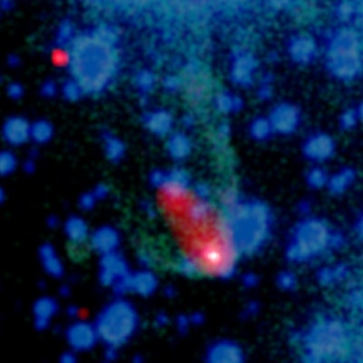 An image of the black widow pulsar