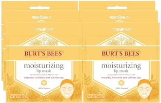 Burt's Bees Moisturizing Lip Mask (6 Pack)