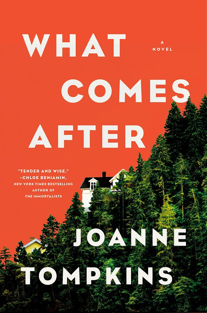 'What Comes After' by JoAnne Tompkins