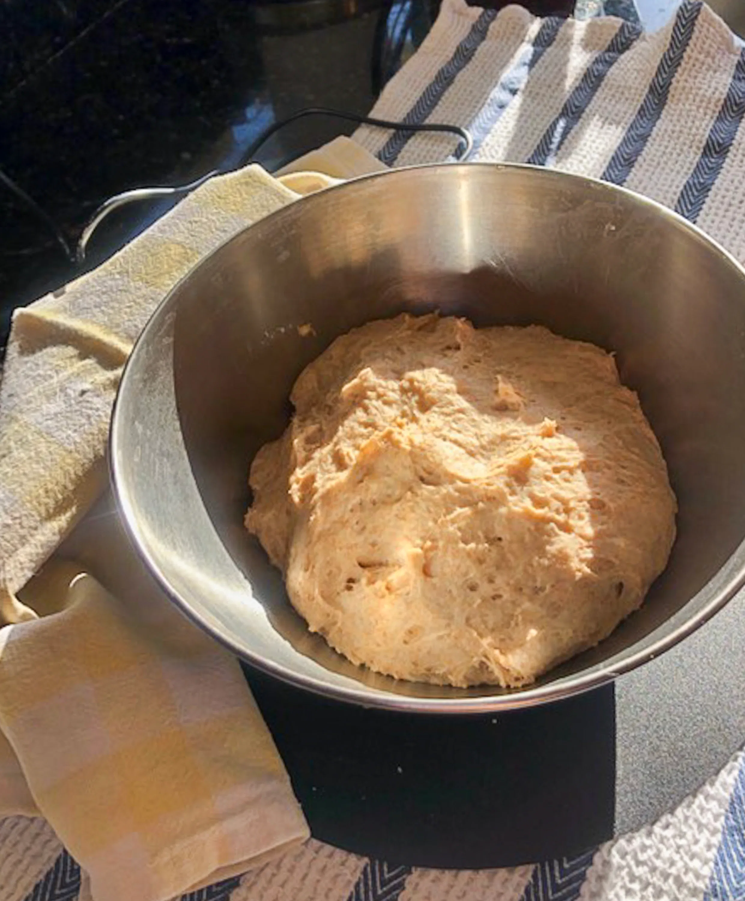 dough riser machine