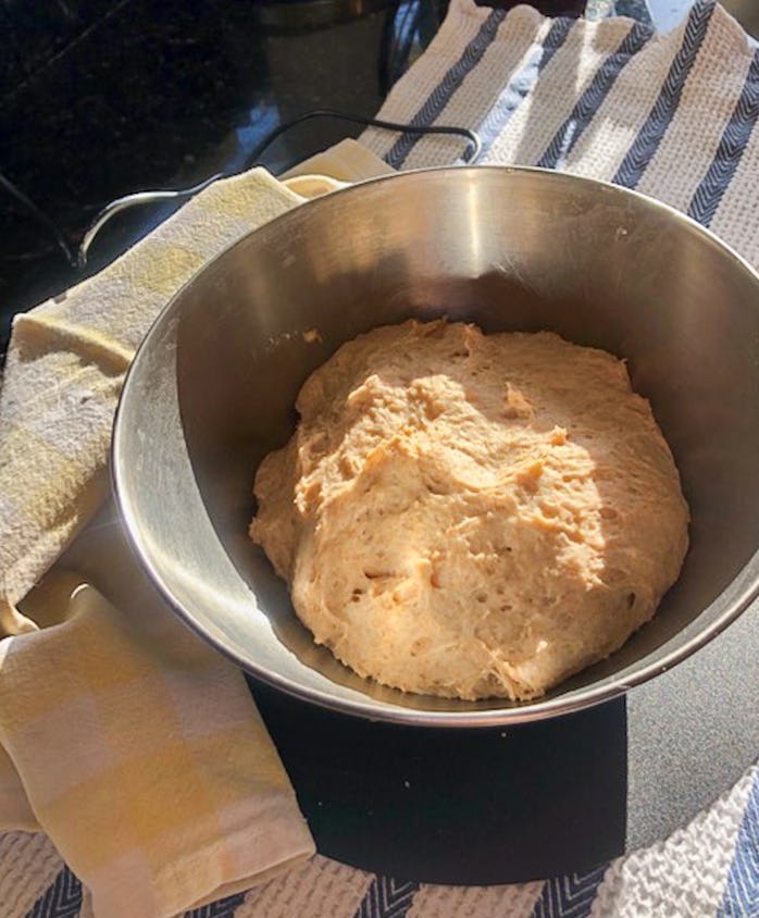 Raisenne dough riser review: It's as simple as it looks