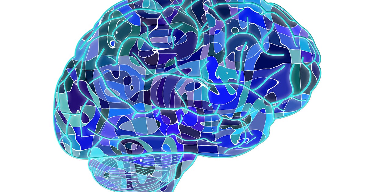 How does the brain think?