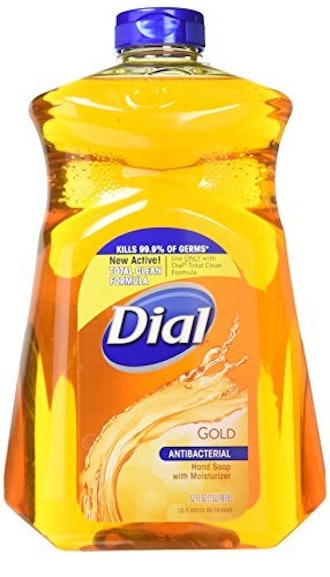 Dial Liquid Hand Soap (2-Pack)