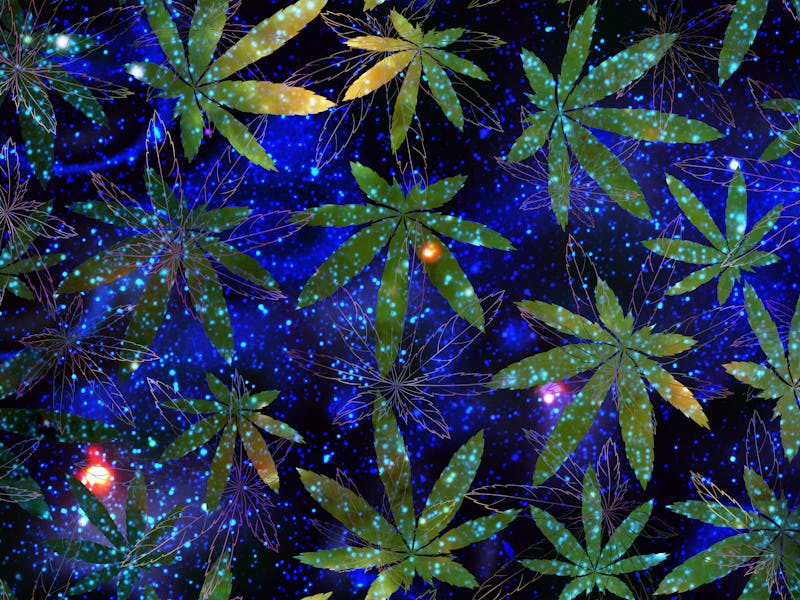 cannabis leaves over a space background