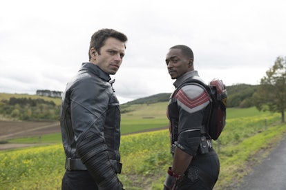 Sam and Bucky in 'The Falcon and the Winter Soldier' via Disney+ press site.