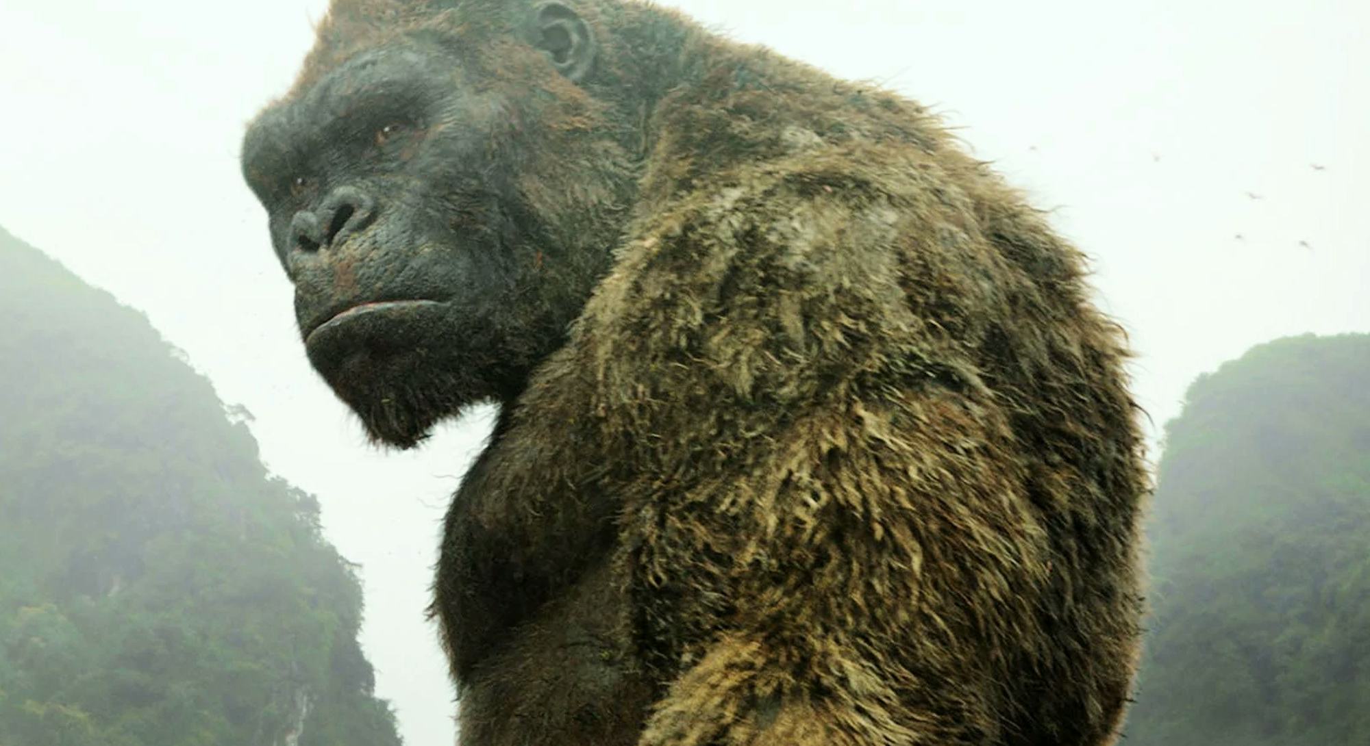 All 8 King Kong movies, ranked from worst to best