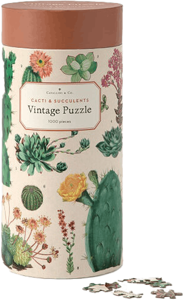 Vintage Succulents Puzzle