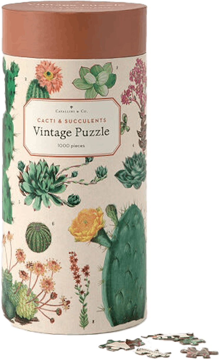 Vintage Succulents Puzzle