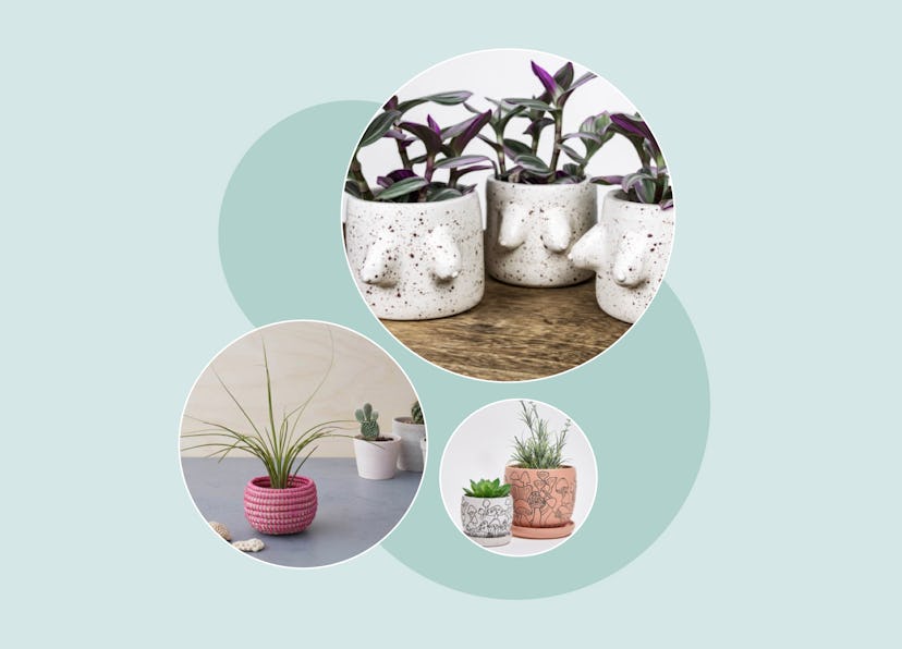 Plant pots
