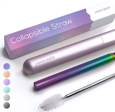 Eco-Pals Collapsible Travel Straw