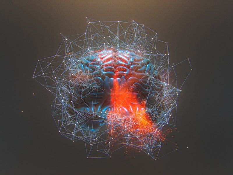 brain images
