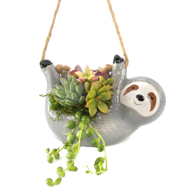 The Slouching Sloth Planter