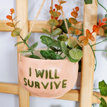 Sass and Belle I Will Survive Hanging Planter