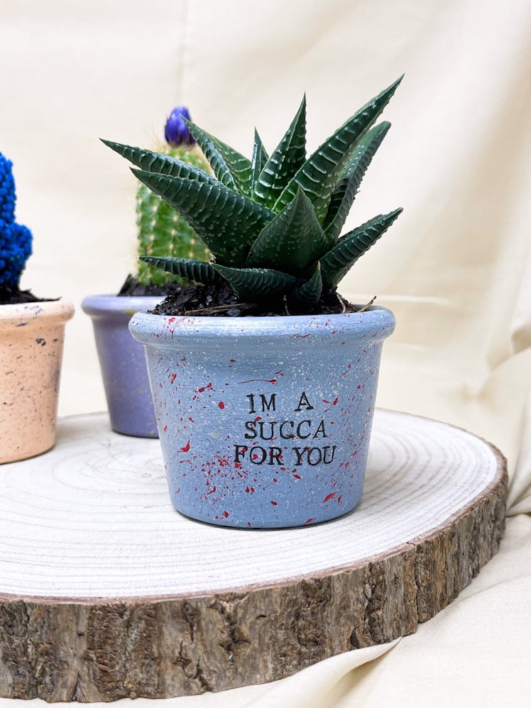 Cute Funny Little Succulent Plant Pot