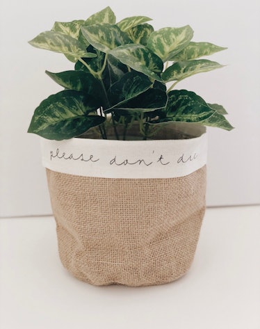 Please Don’t Die Canvas Plant Pot