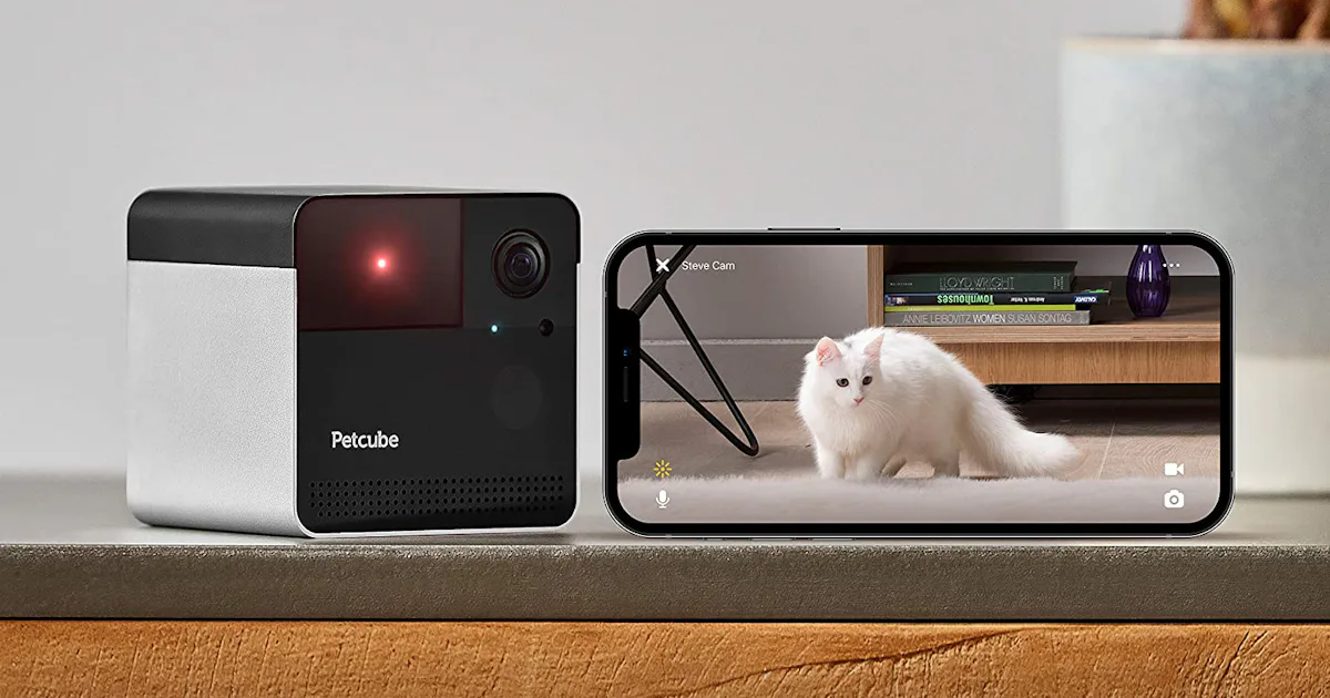 The 5 Best Pet Cameras For Cats