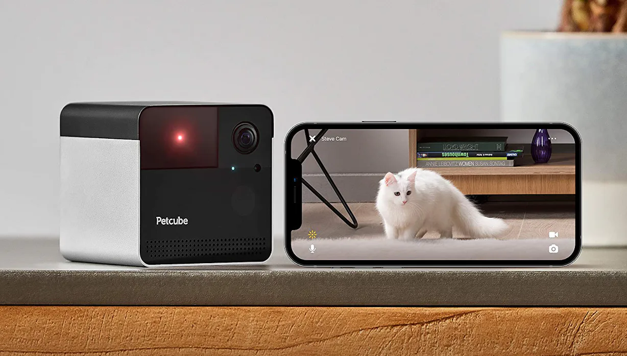 The 5 Best Pet Cameras For Cats